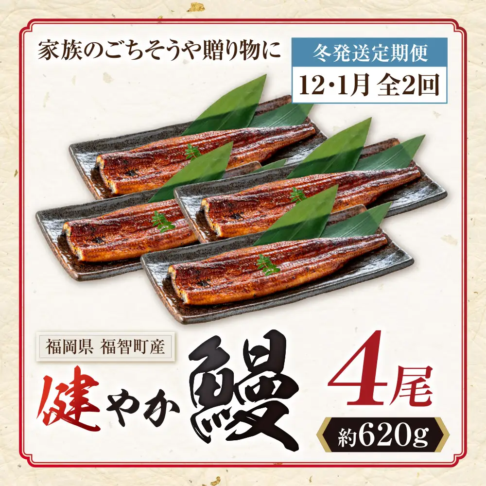 Z61-322 健やか鰻 国産うなぎ蒲焼 (無頭) 4尾 (計620g以上) ★定期便・冬発送★