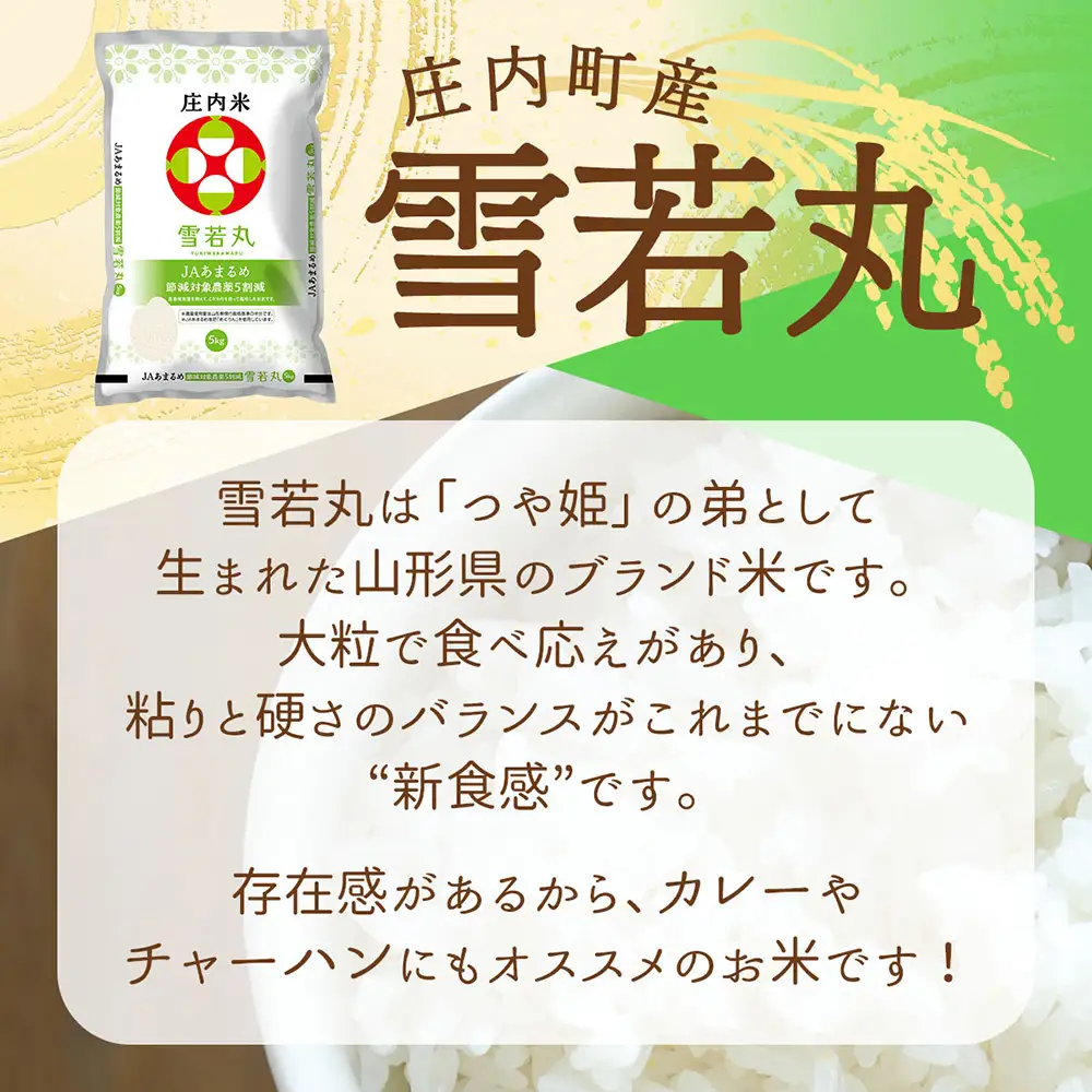 【定期便】＜令和8年産＞雪若丸 10kg×1年間 毎月お届け 山形県庄内町産 余目産 庄内米 ブランド米 米 お米の定期便 粒立ち しっかり食感 食べ応え抜群 粘り 控えめ 硬め ごはん【10月中旬発送】