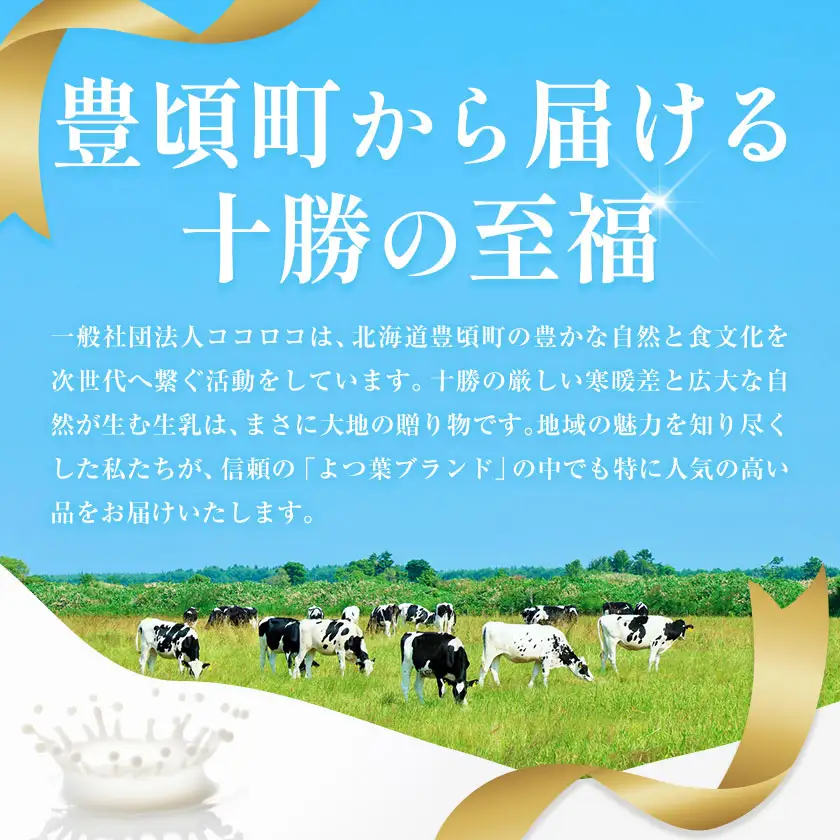 北海道 十勝 よつ葉 加塩バター 3個セット バター 《30日以内に出荷予定(土日祝除く)》