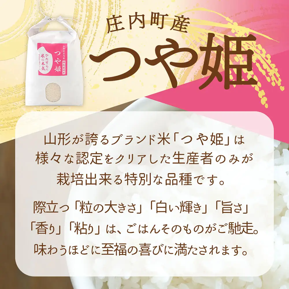【定期便】＜令和8年産＞つや姫 5kg×1年間 特別栽培米 毎月お届け 山形県庄内町産 庄内米 ブランド米 米 お米の定期便 ごはん 粘り 甘み 香り 粒が大きい 大渡会ファーム【10月中旬発送】