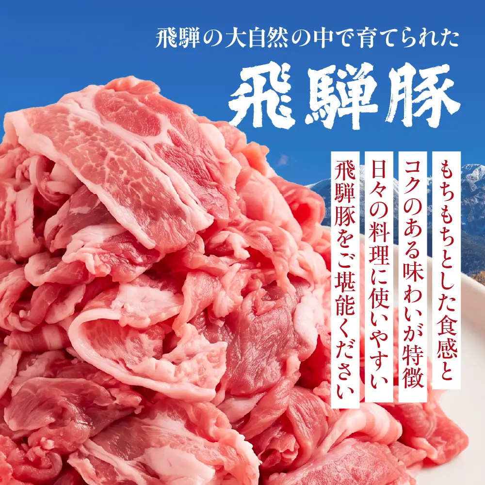 飛騨豚 こま切れ 切り落とし 1kg 小分け 500g×2パック | 冷凍 切り落とし 飛騨高山 ファミリーストアさとう CY050