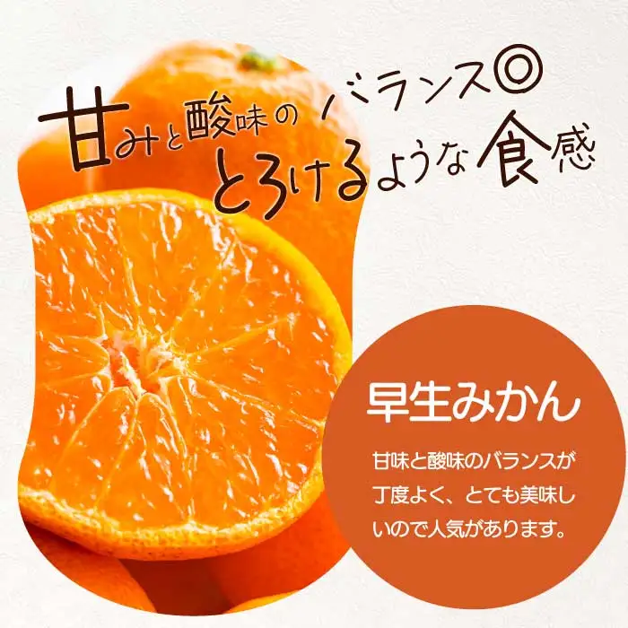 早生みかん 5kg 《2026年11月中旬～下旬発送予定》栽培期間中 防腐剤 ワックス 不使用 おくはち農園 旬 柑橘 かんきつ フルーツ 果物 瀬戸内 166002