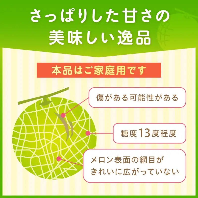 アールスメロン(マスクメロン) 2玉 3kg程度 糖度13度程度≪家庭用≫【配送不可地域：北海道・青森・秋田・岩手・沖縄・離島】【1354】
