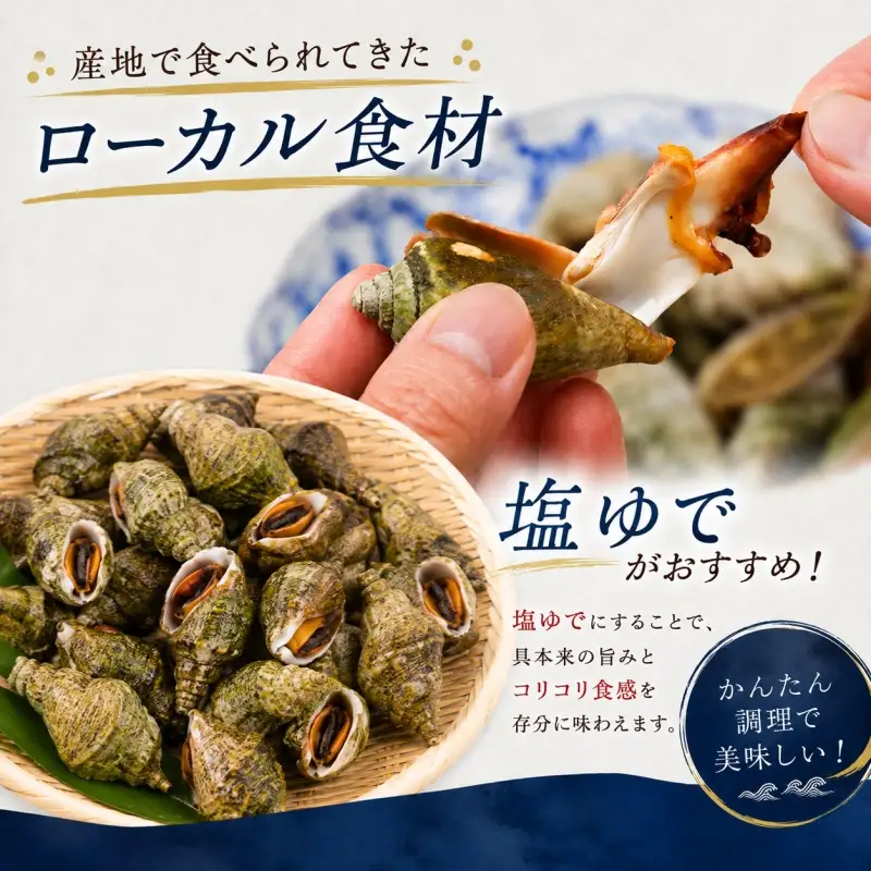 貝　まとめ売り 素潜り漁師直送】マガキ貝 (チャンバラ貝) 1kg 獲りたてをお届けします