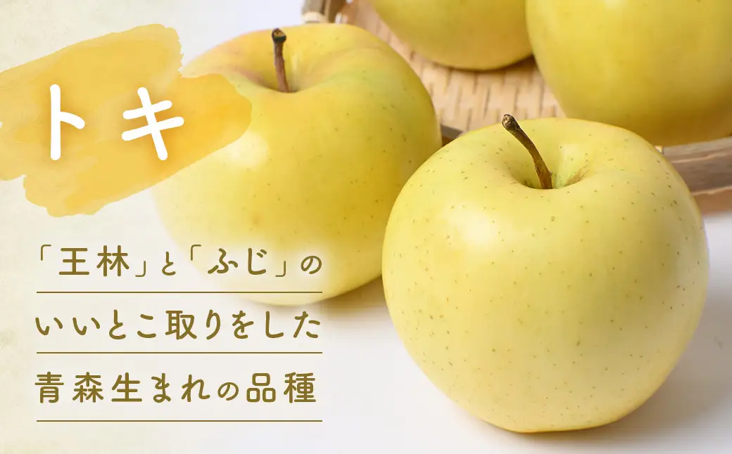 黄色りんご食べ比べ定期便 黄色りんごリレー ４回 定期便　・トキ：約5kg・ぐんま名月：約5kg・王林：約5kg・はるか：約3kg