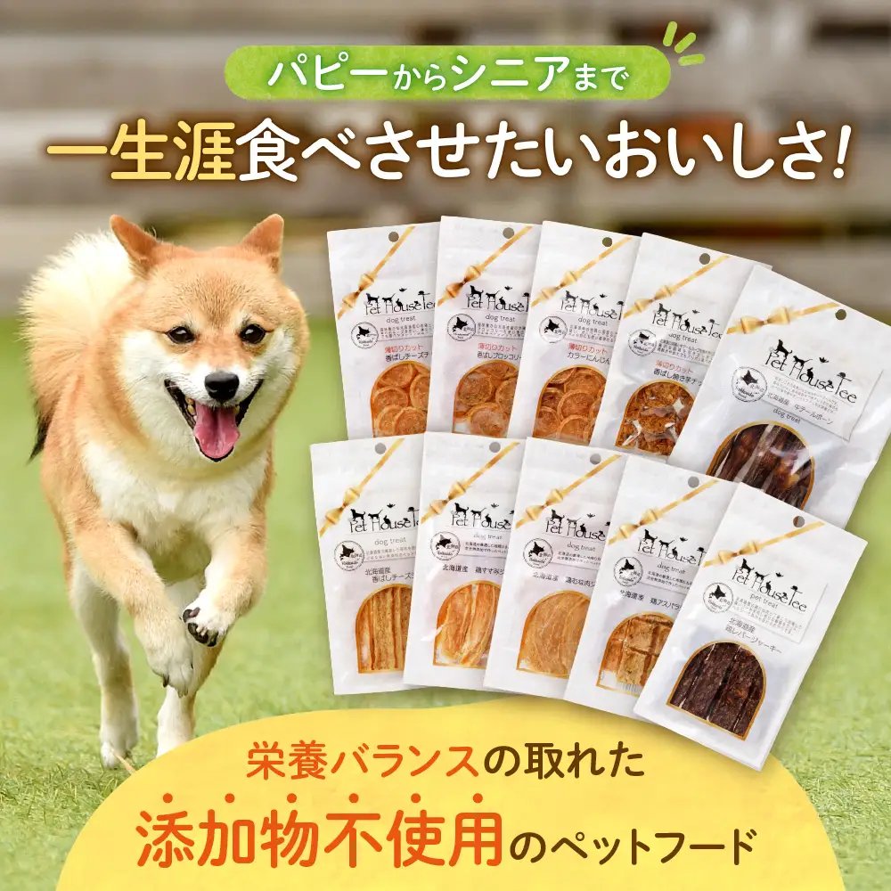 選べるジャーキー　10袋セット | ペット おやつ 犬 北海道 札幌市