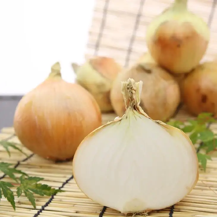 玉ねぎ（淡路玉三郎）5kg