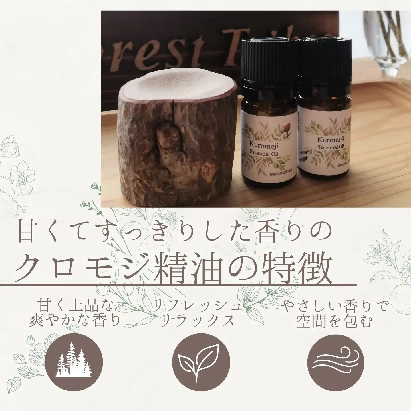 クロモジ精油 || クロモジ 精油 天然由来 香り 森林浴