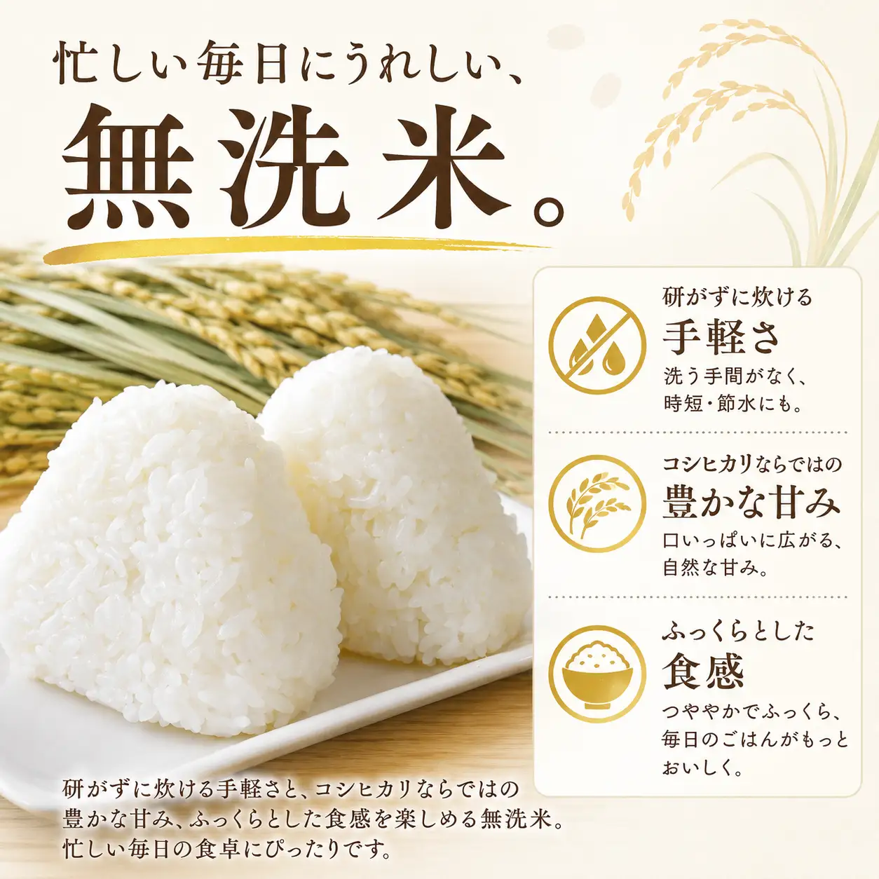 ＼まもなく発送開始／ 無洗米 令和8年度産 コシヒカリ 10kg [A-mry006]