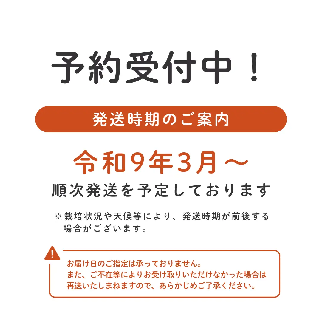 【3～4月収穫分】埼玉県吉見町 吉見いちご【品種おまかせ】2パック｜いちご 産地直送