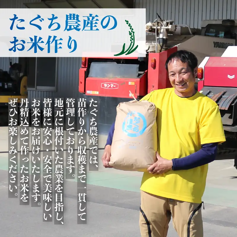 令和8年産 新米 こしひかり 5kg 12回定期便 新米