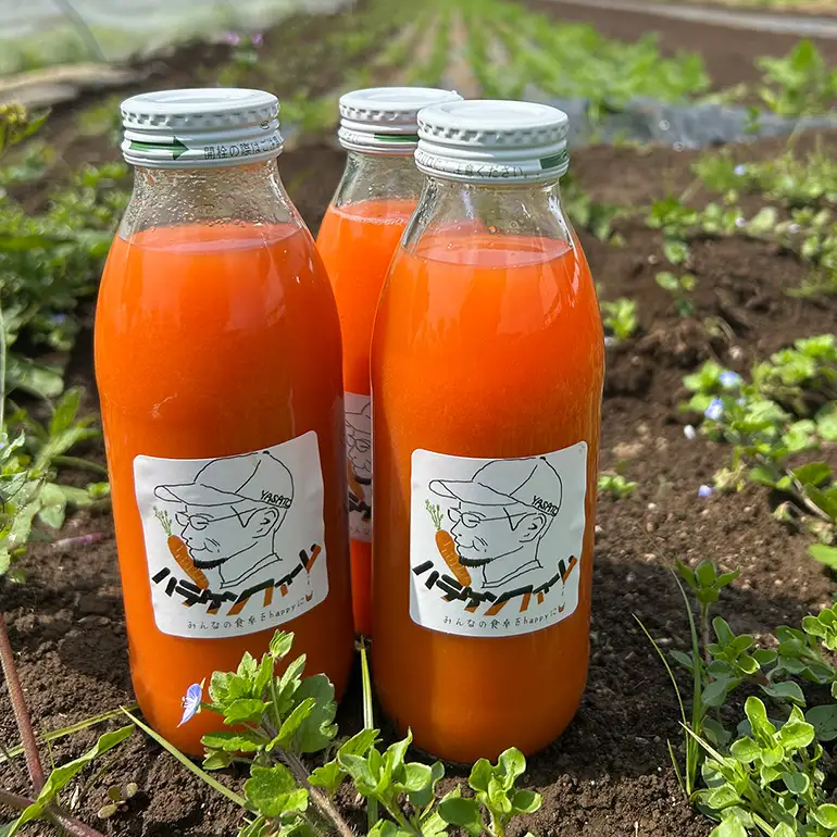 にんじんジュース　350ml×12本　A48-004