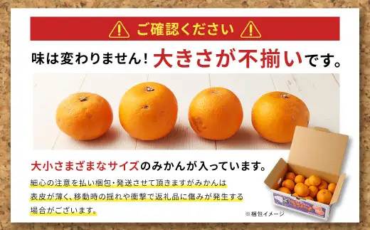 ＜ R8年熊本地震復興支援 ＞＜2026年11月発送予定＞【不揃い】選べる 河内 塩屋みかん 8kg 早生みかん 熊本 国産 みかん 蜜柑 ミカン 果物 くだもの フルーツ