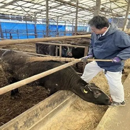 【毎月定期便】【小町の里・幸牛】黒毛和牛サーロインステーキ 200g×6枚全3回【配送不可地域：離島】【4090816】