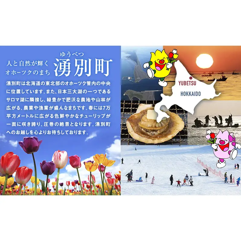 定期便 3ヵ月 ラーメン 北海道ラーメンセット 4食入 [かに味 味噌ラーメン ほたて味 塩ラーメン 麺類 とんこつ味 乾燥麺 つらら ]