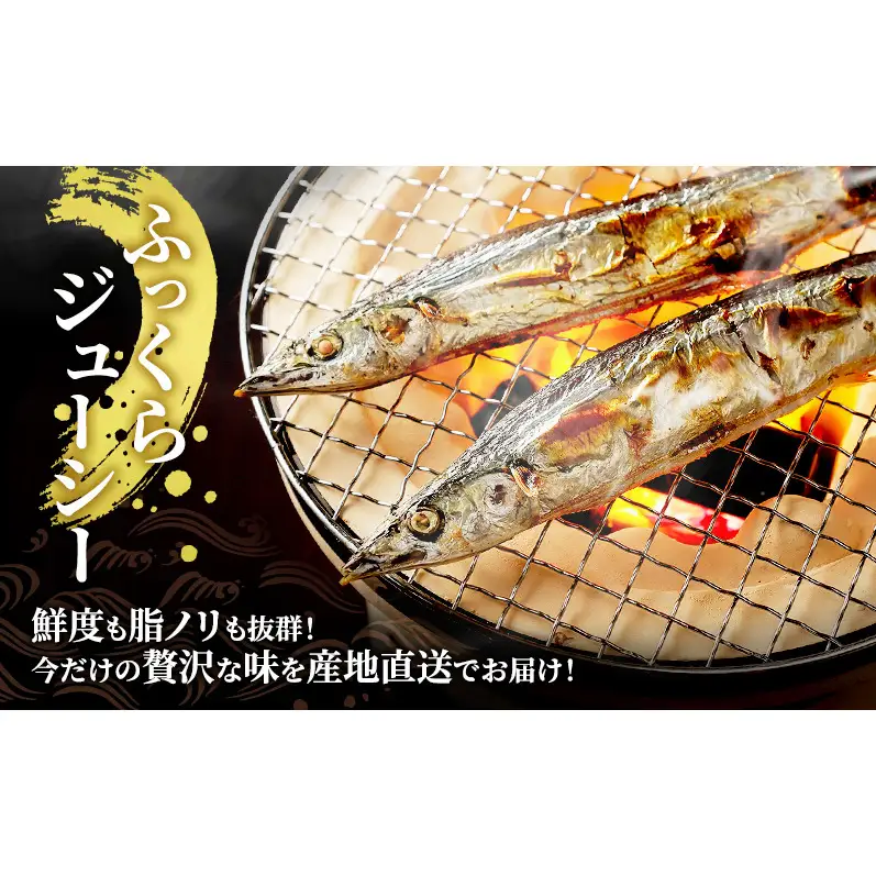 先行予約 産地直送 鮮度抜群 北海道 厚岸産 刺身用 鮮さんま 5本 サンマ 秋刀魚 さんま 鮮魚 魚介類 海産 生さんま