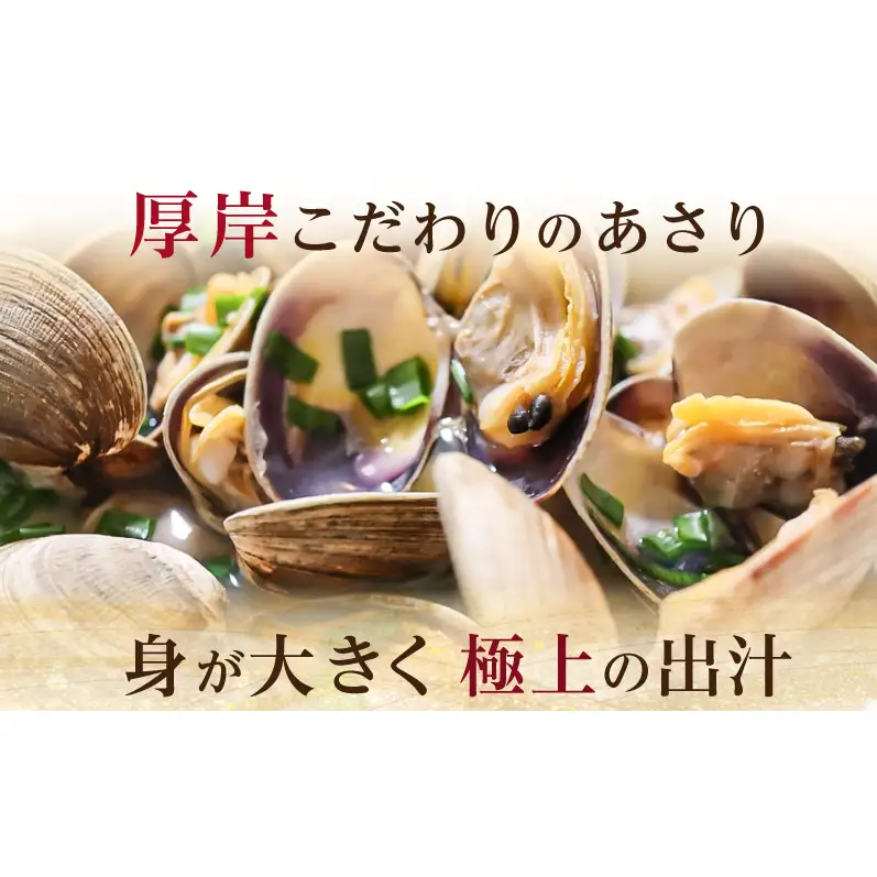 3ヵ月 定期便 あさり 簡単 お手軽 北海道 厚岸産 天然 ブランチング加工 3D 冷凍 大あさり 500g ×3パック 貝 海鮮 魚介類