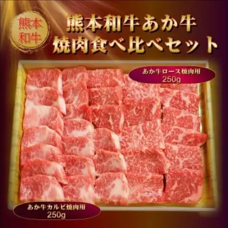 あか牛焼肉食べ比べセット500g(ロース250g、カルビ250g、あか牛のたれ200ml)(益城町)【配送不可地域：離島】【1771502】
