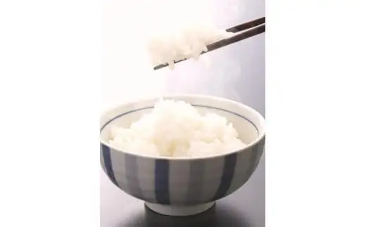 米 にじのきらめき 和歌山県産 10kg（5kg×2）（2026年産） 産地直送 米 こめ ご飯 ごはん ※ 2026年9月以降準備が出来次第順次発送 （お届け日指定不可）/ お米 白米 新米 米 こめ 産地直送 限定【sml913E】 
