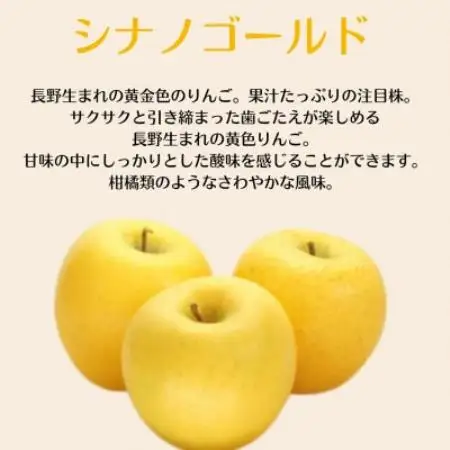 【訳あり】産地直送　信州りんご(サンふじ+シナノゴールド)3kg (ご家庭用)【1763205】