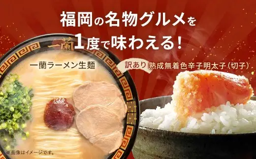太宰府市が太鼓判！福岡うまかグルメセット 【 訳あり 】 やまや熟成無着色辛子明太子 （ 切子 ） 1kg × 一蘭ラーメン生麺3食 明太子 辛子明太子 辛子 めんたいこ めんたい ラーメン らーめん 拉麺 とんこつ 豚骨 一蘭 セット