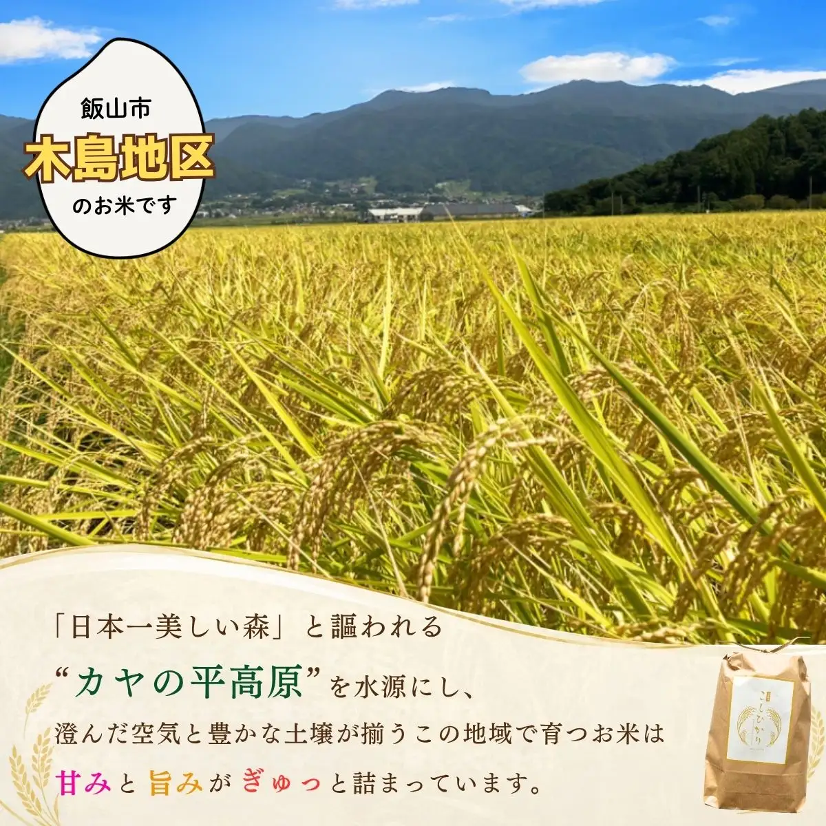 【新米予約】《定期便》5kg×3回 たかちゃんのお米 サイクルファーム 