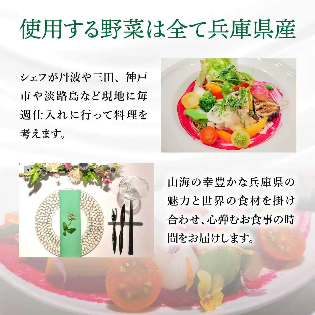 【GENTO】≪Lunch／Dinner共通≫　Cコースお食事券