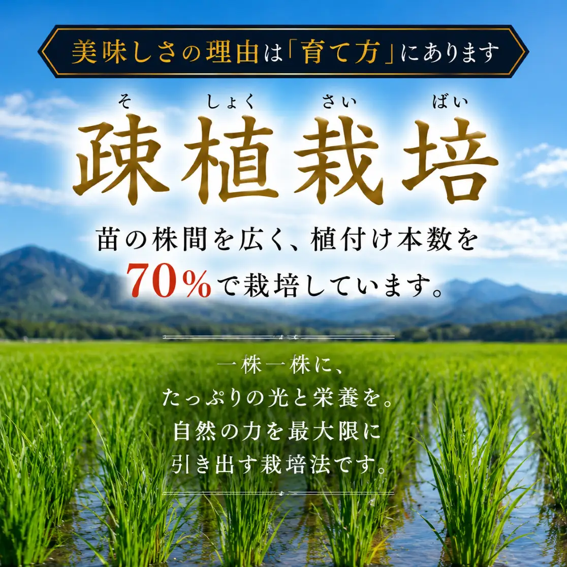 令和8年産 新潟県見附市産 コシヒカリ 玄米 5kg