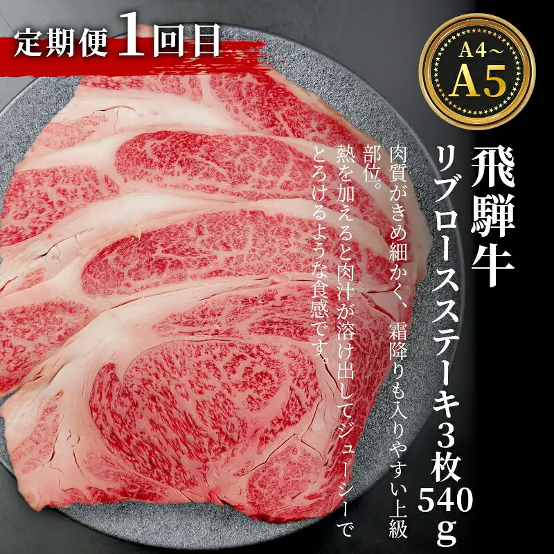 全3回 飛騨牛 ステーキ定期便 A5 A4 ステーキソース付き リブロースステーキ ももステーキ サーロインステーキ リブロース モモ サーロイン ステーキ 牛 冷凍 和牛 牛肉 にく お肉 肉 飛騨 霜降り 赤身 肉のひぐち