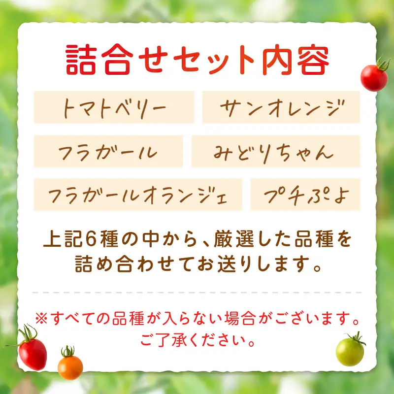 ミニトマトセット（おまかせ詰め合わせ）約1.4kg《先行予約》【1228-1】