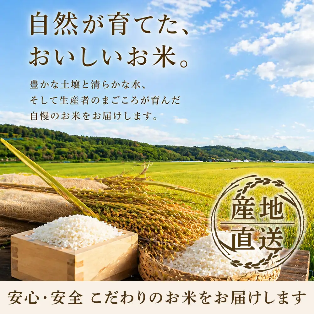 【先行予約】令和8年旭川産ゆめぴりか 5kg×3袋(10月下旬発送開始) | ゆめぴりか _06539