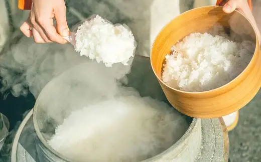 【 年6回定期便 】 山都町産 有機JAS認証 ＜ ヒノヒカリ ＞ 5kg × 6回 計30kg お米 米 こめ コメ 白米 白飯 飯 ご飯 おにぎり ブランド米 精米 国産 熊本県産 定期 定期便