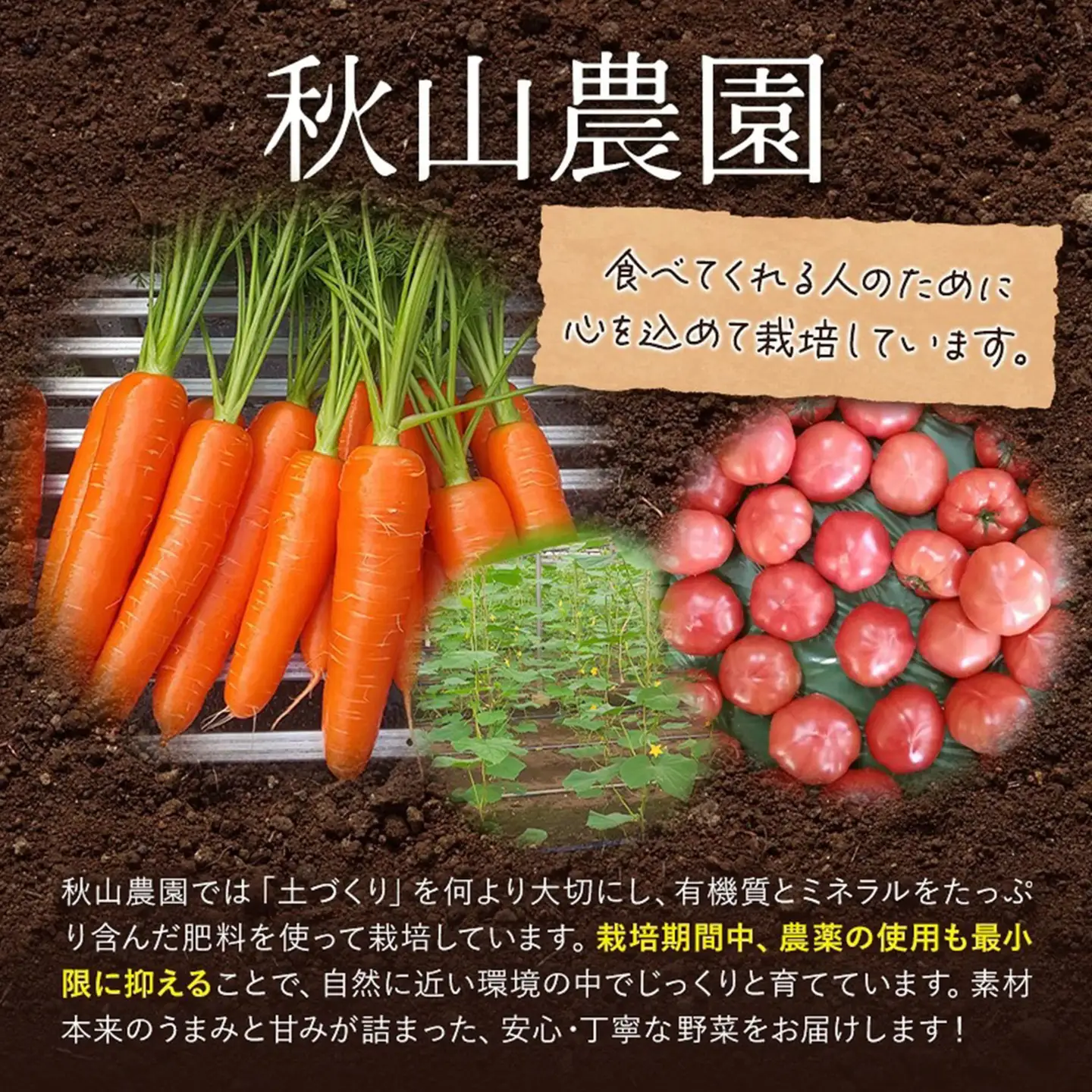 きゅうり 約2.8kg 秋山農園