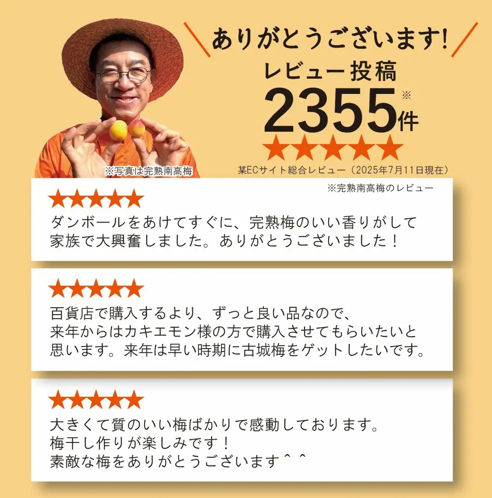 【秀品】南高梅 青梅 約10kg (＋保証100g) M～L カキエモン農園【BX-kkem038】