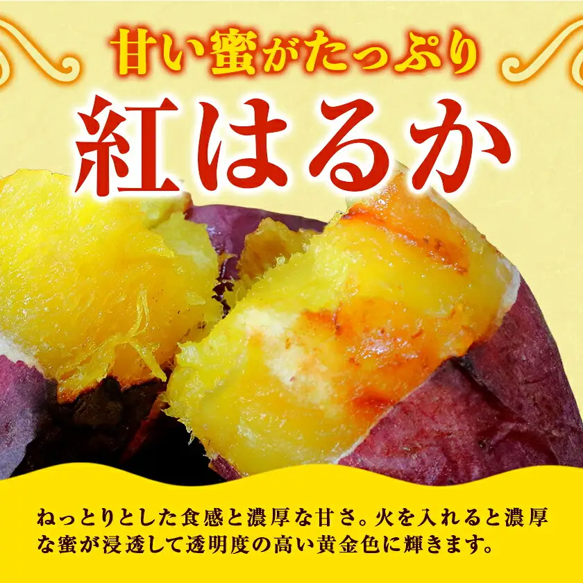 【先行予約】タカハマ観光農園 の 紅はるか 約5kg Sサイズ