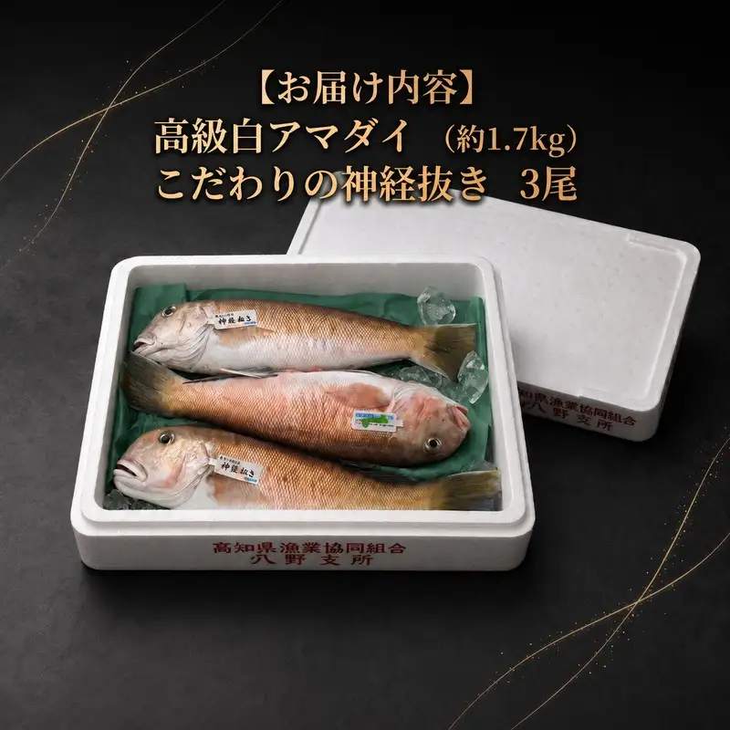 神経ぬき白アマダイ 約1.7kg（3尾） 四万十沖［1760］