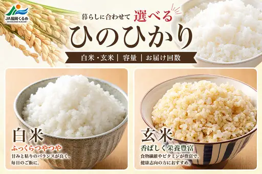 【ふるさと納税】ひのひかり 米 お米 白米 20kg 20キロ 福岡県産 うきは市 国産 精米 ご飯 ごはん おにぎり お弁当 人気 おすすめ 家庭用 送料無料 新米 ストック 厳選 農家直送 大容量【JA福岡くるめ にじの耳納の里】