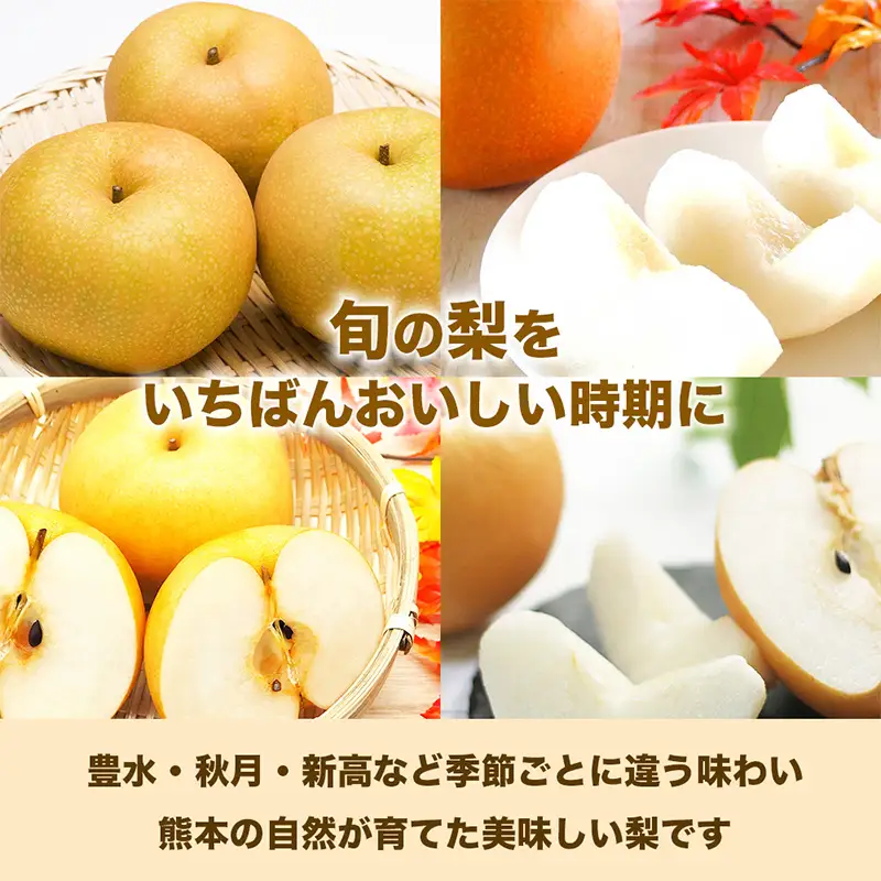 球磨村 旬の梨おまかせ 3kg ナシ 梨 果物 くだもの フルーツ FKP9-726