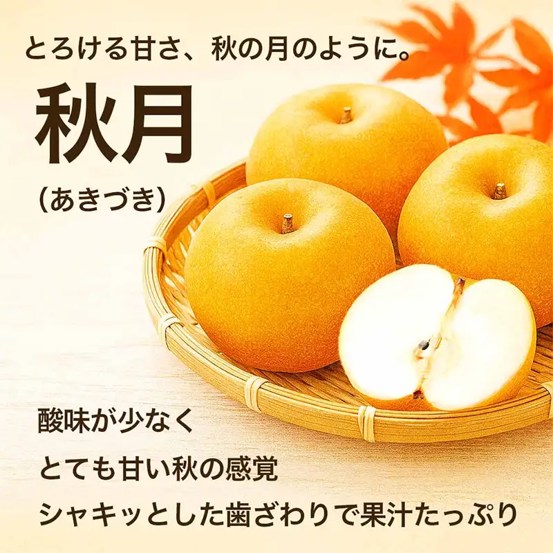 秋月梨 1.8kg ナシ 梨 果物 くだもの フルーツ FKP9-729