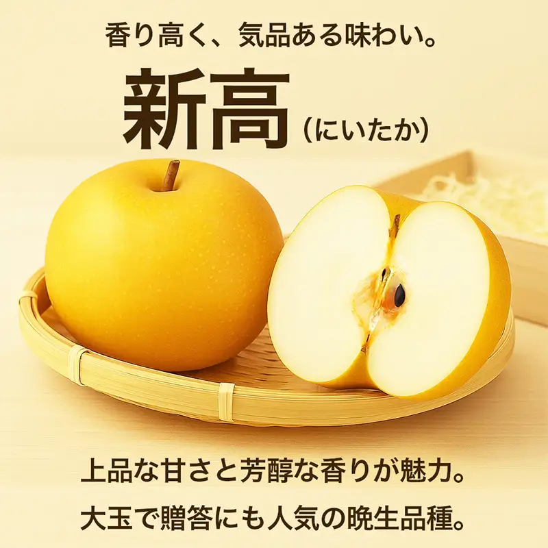 新高梨 5kg ナシ 梨 果物 くだもの フルーツ FKP9-735