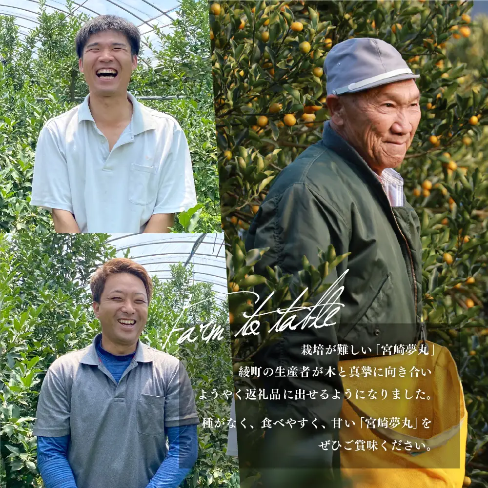 【先行予約】種なし きんかん「宮崎夢丸」 1kg （100g×10p）数量限定 種無し 果物 フルーツ くだもの 柑橘 金柑 プレミア おすすめ ギフト 贈り物 贈答 おやつ スイーツ デザート 糖度が高い 常温 産地直送 宮崎県 綾町 送料無料【JA綾町】_A0114-2611