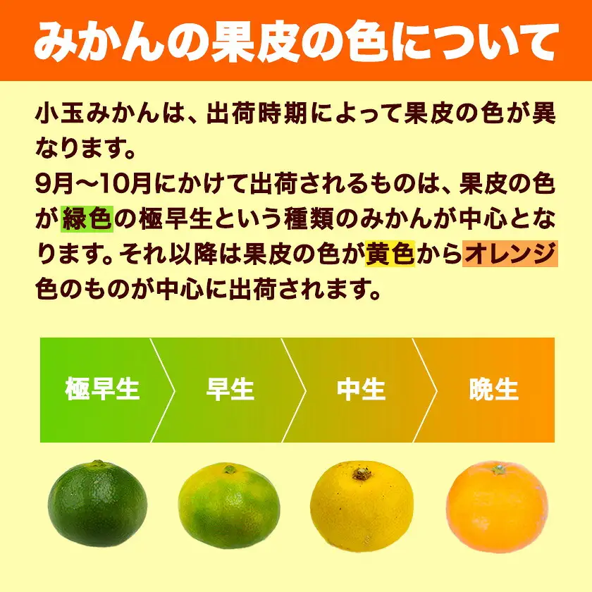 先行予約 小玉みかん S-3Sサイズ 2kg