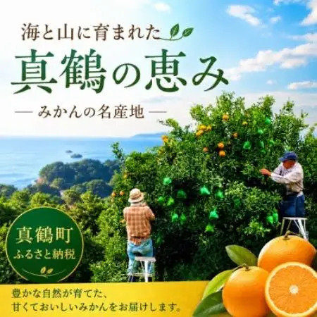 温州みかん10kgと農家自家製マーマレード★甘味と酸味の良バランスと濃厚な香りが特徴です【先行受付】【1762631】