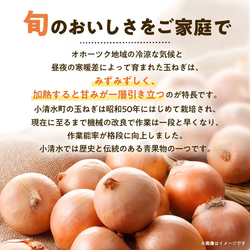 北海道小清水町産 玉ねぎ20kg 甘み豊か 産地直送【1763299】