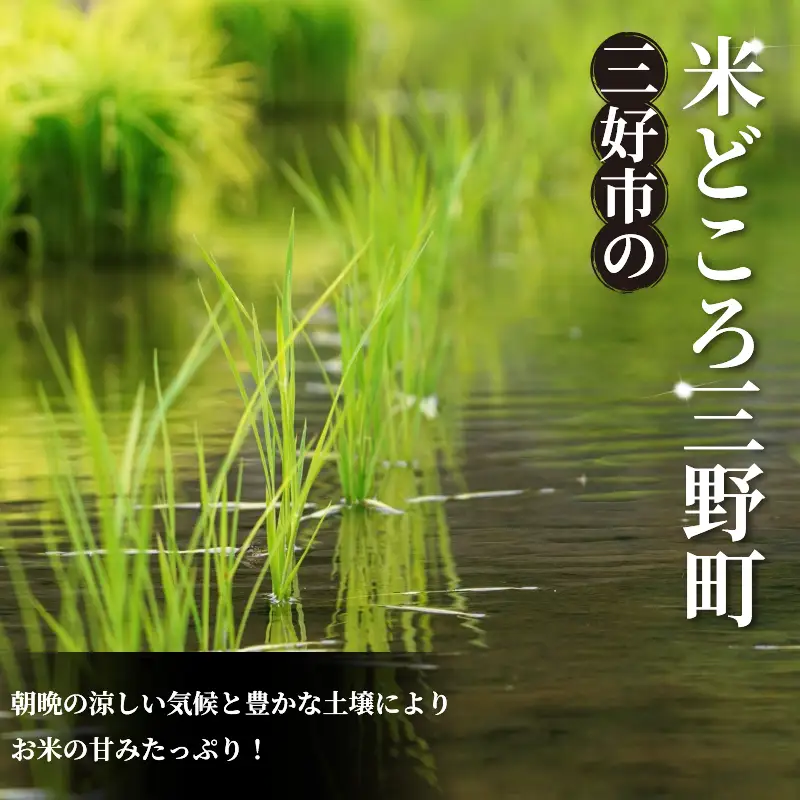 《 先行予約 》 ヒノヒカリ 新米 令和8年度 5kg 米 【 玄米 】