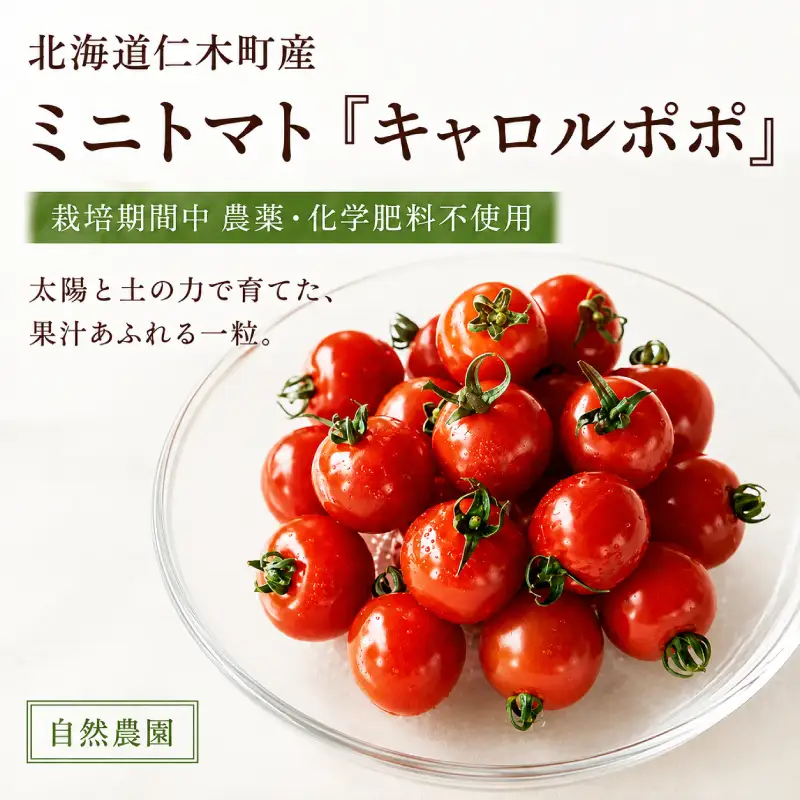 ミニトマト「キャロルポポ」2kg 栽培期間中 農薬・化学肥料不使用 北海道 仁木町 トマト ミニトマト 野菜 [自然農園]