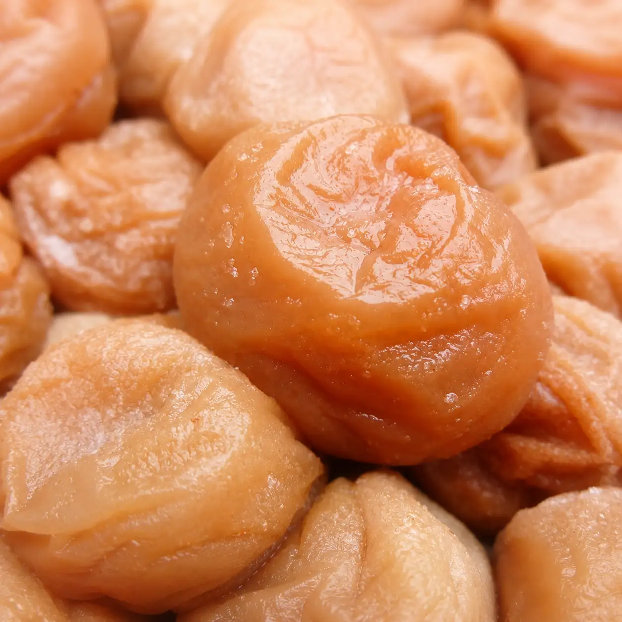 紀州南高梅 白干し南高梅干し 1kg Lサイズ 塩分20％ 添加物不使用 / 梅 うめ ウメ 梅干し 梅干 白干し 南高梅 紀州南高梅 和歌山県 田辺市 【aoi025】 