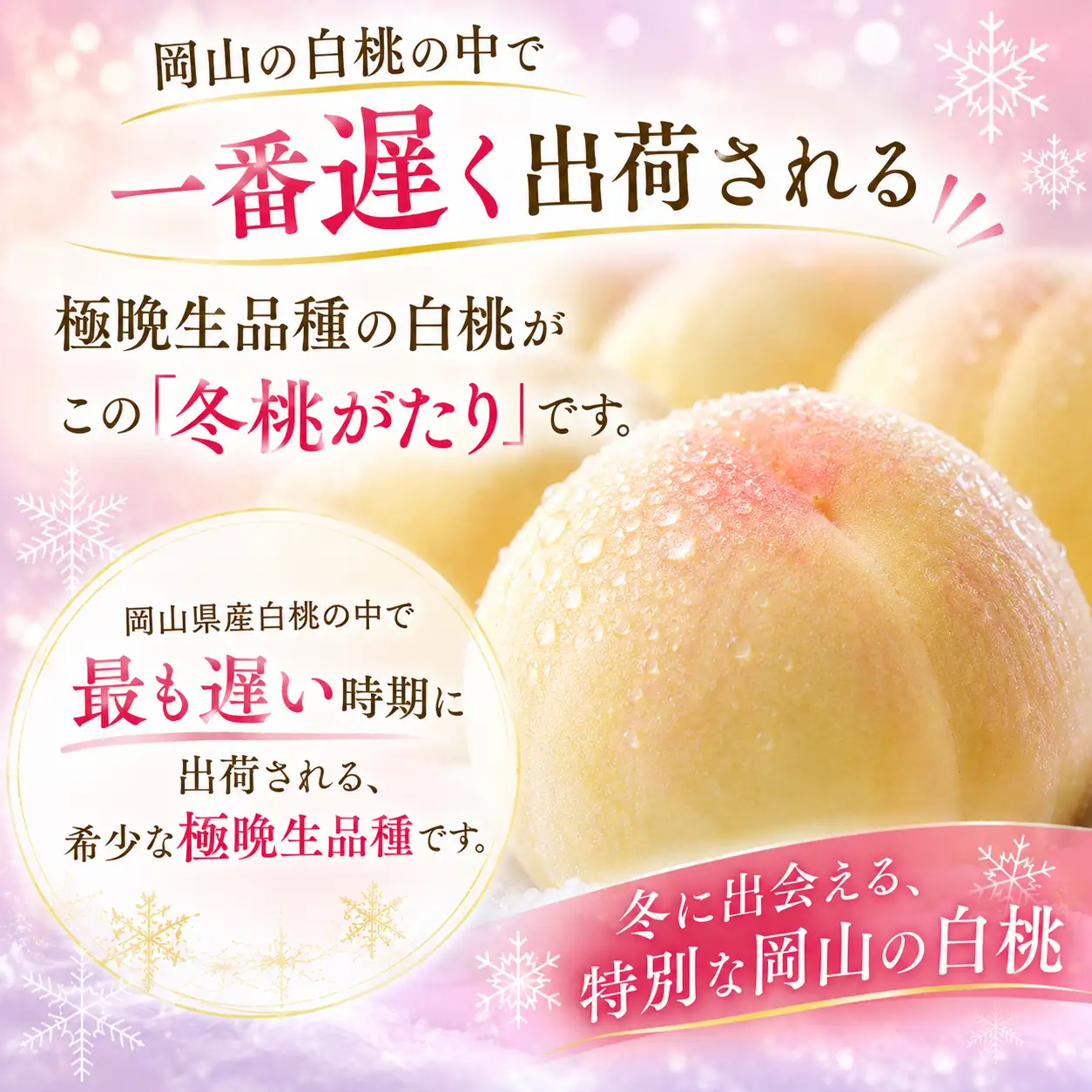岡山冬桃がたり 約1.35kg(7～9玉) 岡山県産 【先行予約 2026年12月中に順次発送】