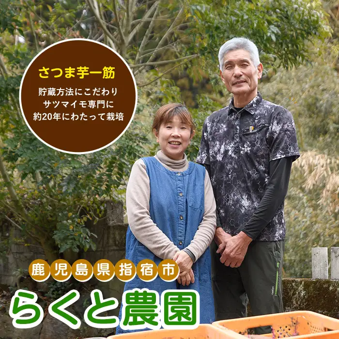 さつまいも シルクスイート約3kg サツマイモ IB084-008
