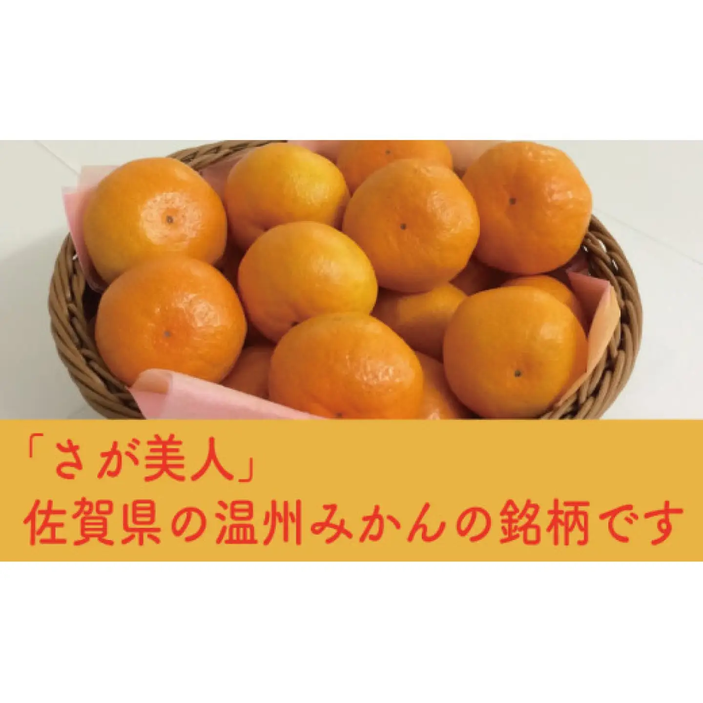 【2026年11月以降発送】佐賀県産みかん「さが美人」 約5kg / 蜜柑 みかん 柑橘 果物 / 佐賀県 / さが風土館季楽[41AABE119]